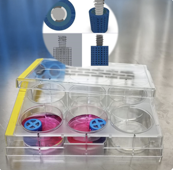 3D hücre kültürü örneği
